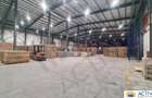 Hale de inchiriat - Ecom Logistic Center - 5