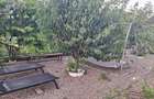 Proprietate Exclusiva de Vanzare in Palazu Mare – 1.412 mp teren - 15