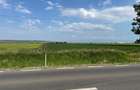 Teren 18.100 mp pentru dezvoltare in Sura Mica / jud. Sibiu