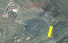 Teren 7,200mp Sighetu Marmatiei / Strada Doboies - 1
