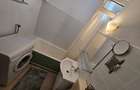 Inchiriere apartament 2 Camere Bd Ferdinand - 9