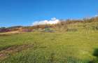 Teren intravilan 2500 mp \Sibiu \Sura Mare - 8
