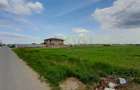 REL4000771 Teren Intravilan 13700 mp Clinceni - 4