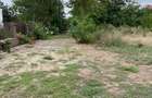 Vand teren intravilan 3774 mp Pădurea Scrovistea Peris Balteni - 6