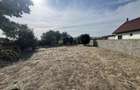 RECO , teren intravilan, Ineu,Bihor - 2