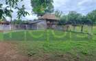 VANZARE CASA | TEREN 2.500 MP | LIVADA SI GRADINA | COMUNA BEUCA, TELEORMAN - 8
