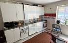 Casa/vila P+E+M, individuala ,730 mp teren-Timișul de jos - 18