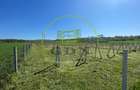 Teren intravilan 8.677 mp cu utilități în Răcari, zona Vatra Romana - 3