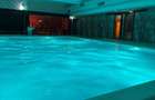 Studio Green Future Sinaia | Piscină & SPA - 12