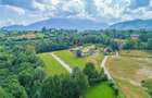Teren 500mp Tohanita (intre castelul Bran si Zarnesti), langa padure - 10