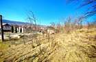 Casă cu teren generos în Dârmănești, Argeș-ideală pentru locuința sau afacere - 16