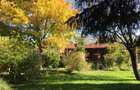 CASUTA DIN POVESTI/CURTE 1100MP/GRADINA MAGICA/SAUNA/PISCINA/SNAGOV - 2