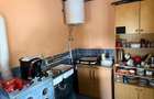 CASĂ DE VACANȚĂ ÎN GRADINA VIILOR CAREI CU 1.924 MP TEREN FRONT 15M - 5