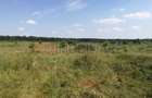 Baneasa - Piscul Reghiului, teren intravilan, suprafata 727 mp - 2