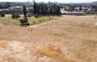 Teren industrial in Podari - 0% COMISION - 8