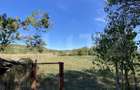 Casa de vanzare, 90 mp, 14 arii de teren, zona Sintereag - 8