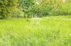 Teren intravilan | Budiu Mic | 994 mp - 7