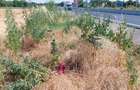 Teren  stradal DN5 Bucuresti -Giurgiu 34.800 mp - 2