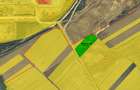 Teren 6.154 mp Sânmartin/Rontău – 2 km de Centura Oradea – acces două fronturi - 1