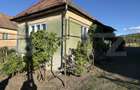Casă tradițională cu teren intravilan generos de 2.530 mp în Ernei - 6