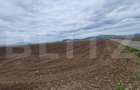 Teren agricol - 18000 mp - Harman - Dn 11 - pretabil agricol si industrial - 1