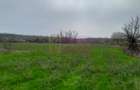 De vanzare casa +teren 16k mp in BARCANESTI / IL - 14