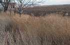 Terenuri intravilane de vanzare Focsani ,4,5 Ha Focsani - 13