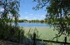 OCAZIE CORBEANCA 1.767 mp FIX LA LAC Deschidere 16m Ponton Toate utilitățatille - 1