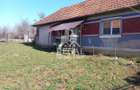Două case de vânzare – Cerisor – teren generos 6996 mp - 8