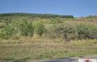 Teren intravilan 2500 mp de vanzare in Ciugud - Teleac - 1