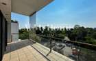 Apartament foarte spatios cu 3 camere, 2 terase, vedere la parc, parcare, paza - 5