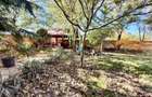 Duplex 14 camere Pantelimon Cernica 864 mp desfasurati - 11
