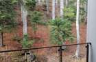 VAND PENTHOUSE 280 MP IN VILA + GARAJ LUX IN SINAIA PH COTA 1400 - 14