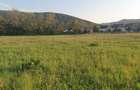 5200 sau 2600 mp teren vanzare,direct proprietar, parcelabil, apropiere Arinis - 10