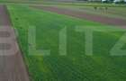 Teren agricol, 5.200 mp, Comuna Sendriceni - 2
