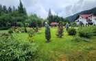 Pensiune Premium de vânzare în Sucevița, Bucovina | Afacere turis - 10
