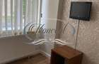 Apartament cu 2 parcari in Buna Ziua - 10