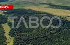 COMISION 0 - Padure de vanzare 12.7ha langa Mag judetul Sibiu - 2