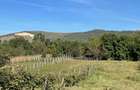 Casă săsească autentică cu 1.700 mp teren intravilan - 7
