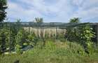 Ciopani vila 5 camere teren 4000 mp - 35