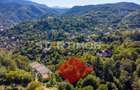 Teren intravilan zona Schei Brasov - 3