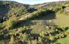 Teren intravilan de 1400 mp in Suncuius, de vanzare, Bihor - 7
