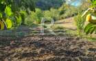 Casă renovata cu teren generos | Anexe | Gurasada | Hunedoara - 43
