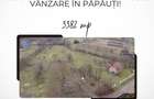 Teren intravilan de vânzare în Păpăuți! - 1