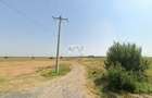 PROIECT REZIDENȚIAL  CREVEDIA/ 17.600 MP /PUZ PENTRU 29 LOTURI - 5