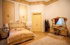 Apartament Exclusivist | Ultracentral - Unirii - Piata Sfantul Stefan | 265 mp - 9