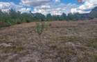 Teren intravilan de 1493 mp cu utilitati - Ianova - 6