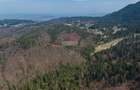 Teren intravilan, 56000 mp, Poiana Brașov - 14