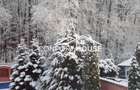 VILA D+P+E+M, 12 camere, piscina , padure, IANCU NICOLAE - 44