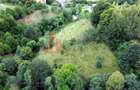 Teren de investiție în Moieciu, lângă Castelul Bran – 11.381 mp, vedere Bucegi - 16